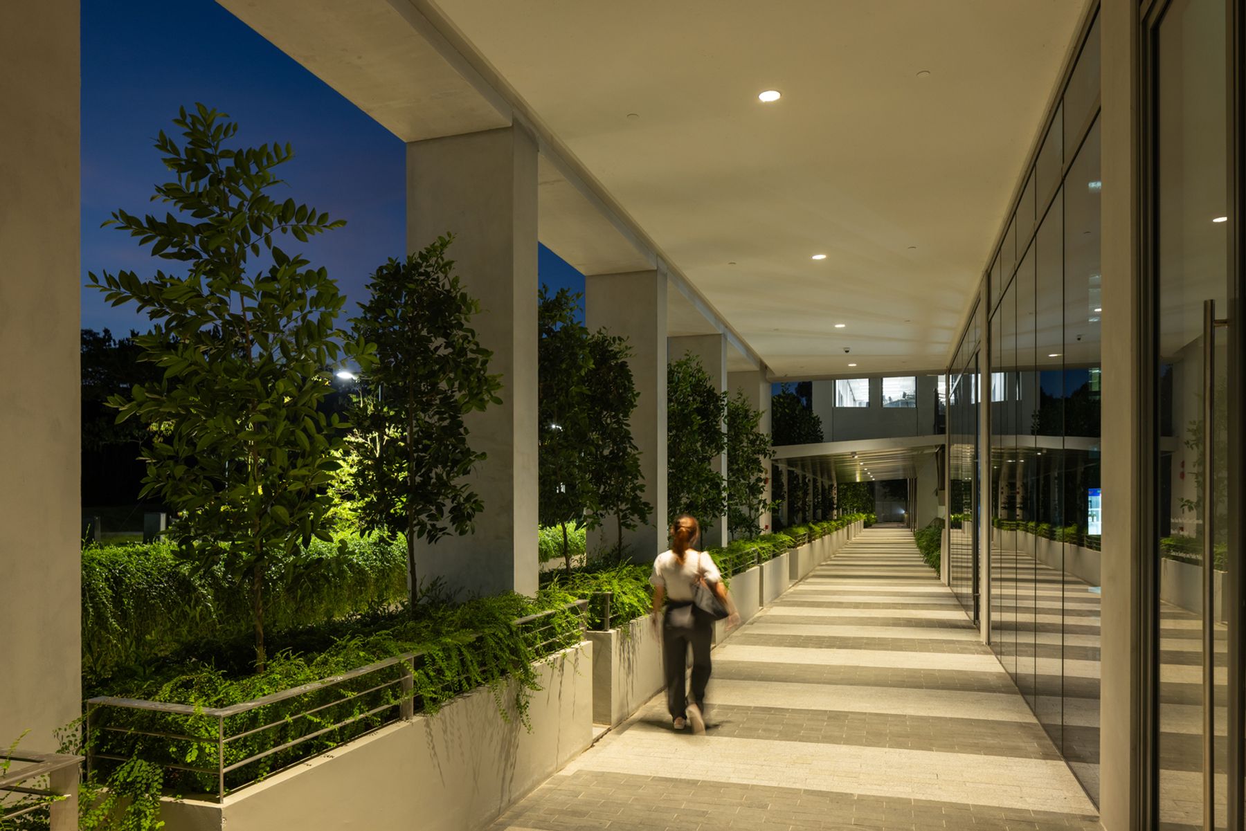 Surbana Campus, Singapur. Architektur: Safdie Architects / David Oktavianus / Ivy Koh / Ahmad Zaky Diani / Laura Tan. Innenarchitektur: B+H Architects Pte. Ltd. Lichtplanung: Nipek Pte. Ltd., Singapur. Fotografie: Finbarr Fallon.