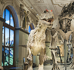 Sauriërzaal in het Natuurhistorische Museum, Wenen