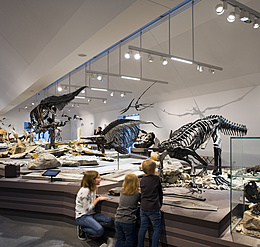 Naturmuseum, St. Gallen