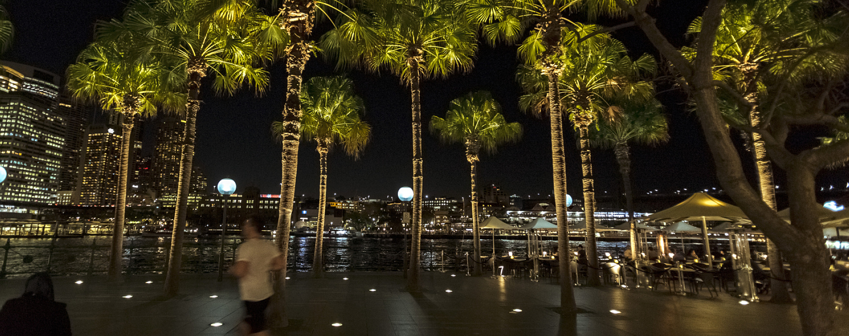 Palm Trees, Circular Quay, Sydney, Sydney, Australien