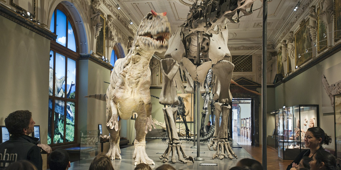 national museum of natural history dinosaur hall